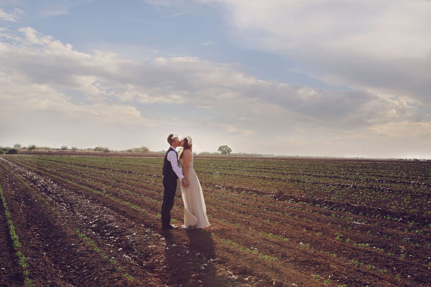 Bride and groom share a kiss in a plowed field under a soft, cloudy sunset sky.