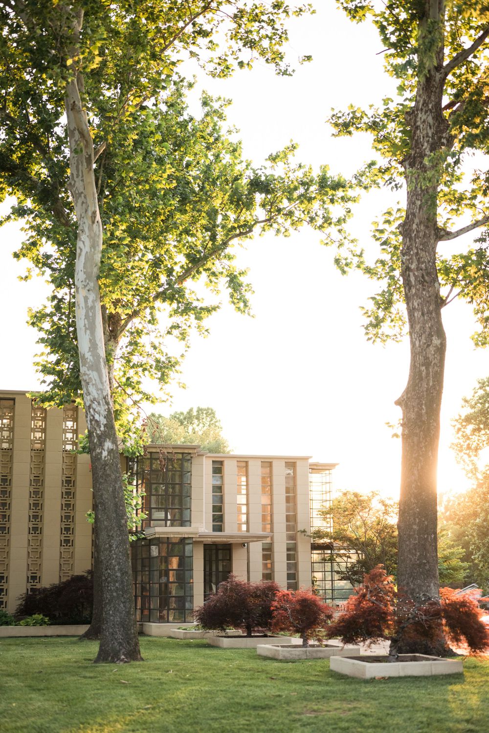 Modern university building exterior with tall trees framing the entrance at golden hour.