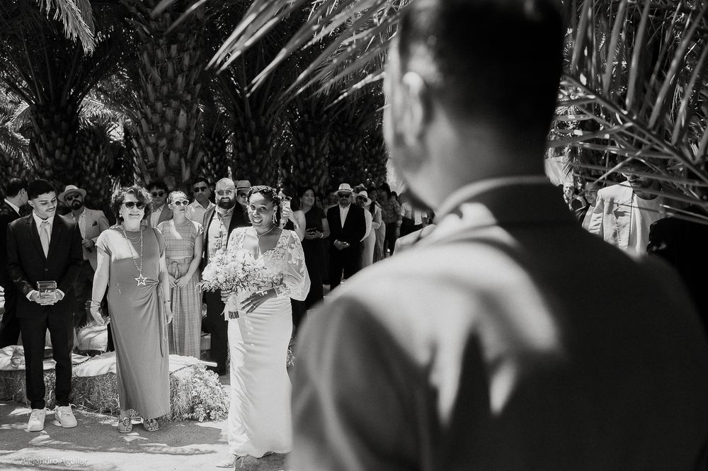 Black and white wedding photo of bride walking down aisle with guests watching under palm trees.
