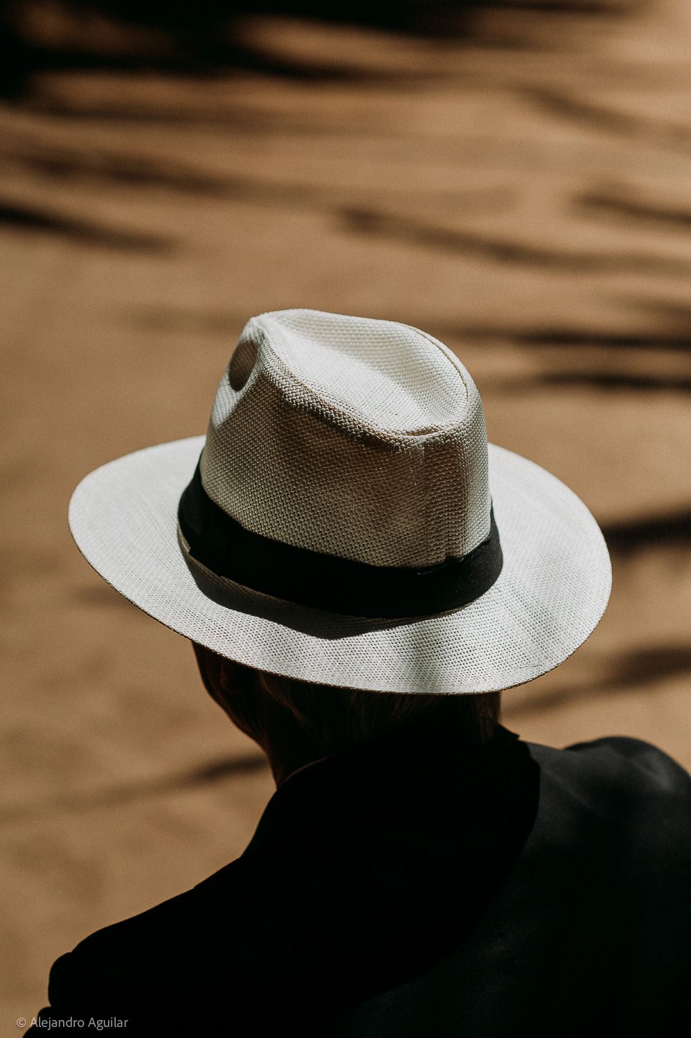 Person wearing a white Panama hat with black band, viewed from behind in natural sunlight.