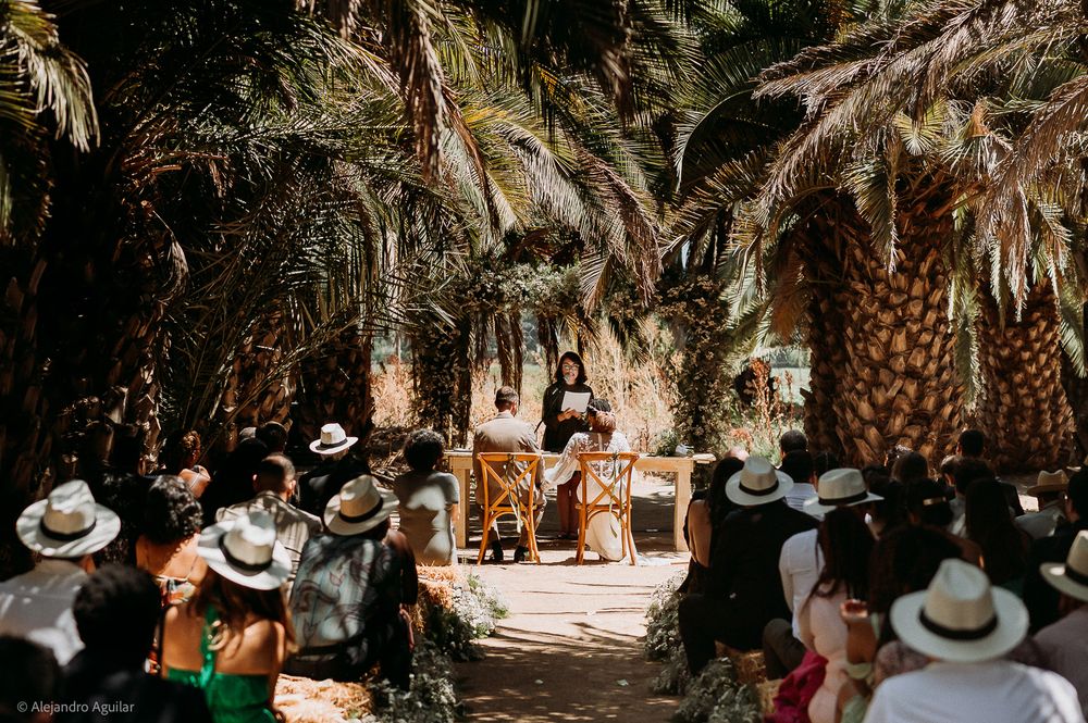 Outdoor wedding ceremony under tall palm trees with guests in white hats facing an officiant at a wooden altar.