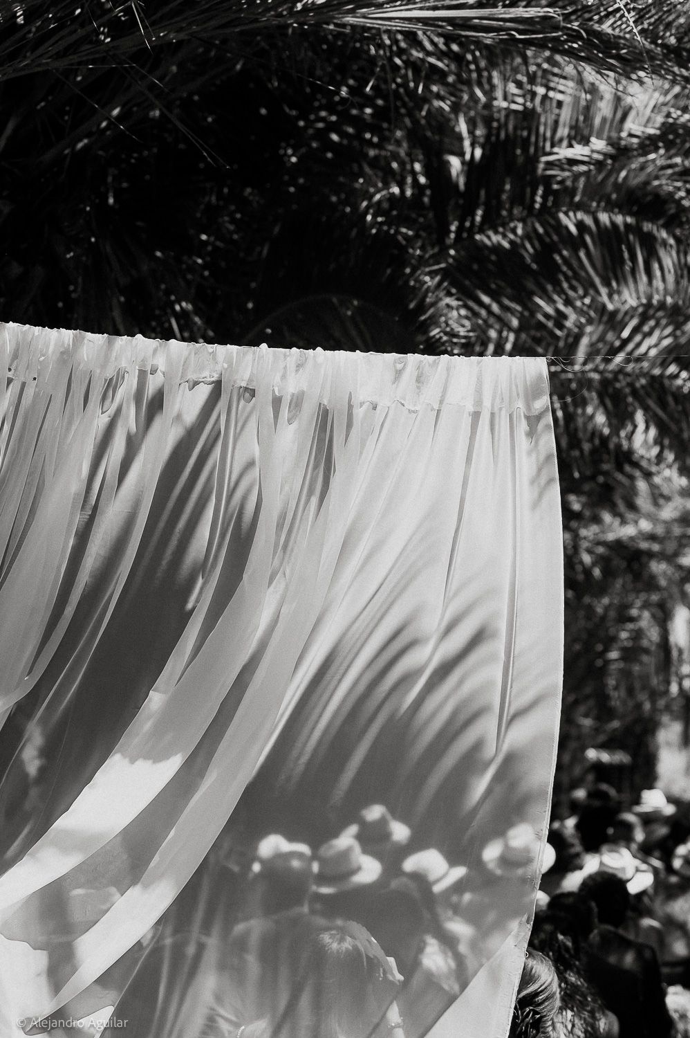 Black and white photo of draped white fabric with palm tree shadows and guests wearing hats at an outdoor event.