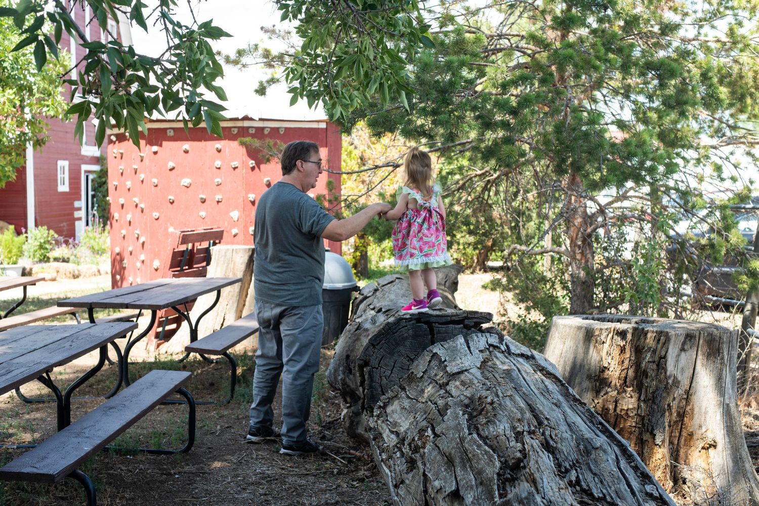 Adult and child standing on a large tree stump near picnic tables outdoors with a red building in the background.