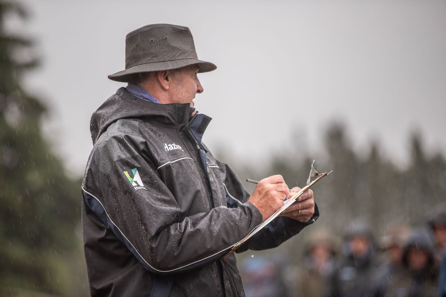 ashburton-gorge-lamb-sale-livestock