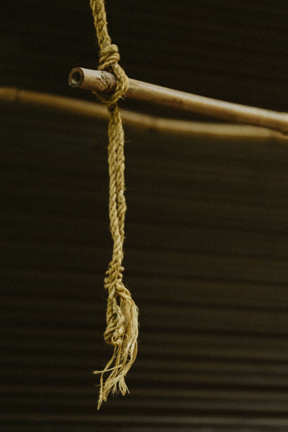 Frayed natural rope tied around a bamboo pole against a dark background.