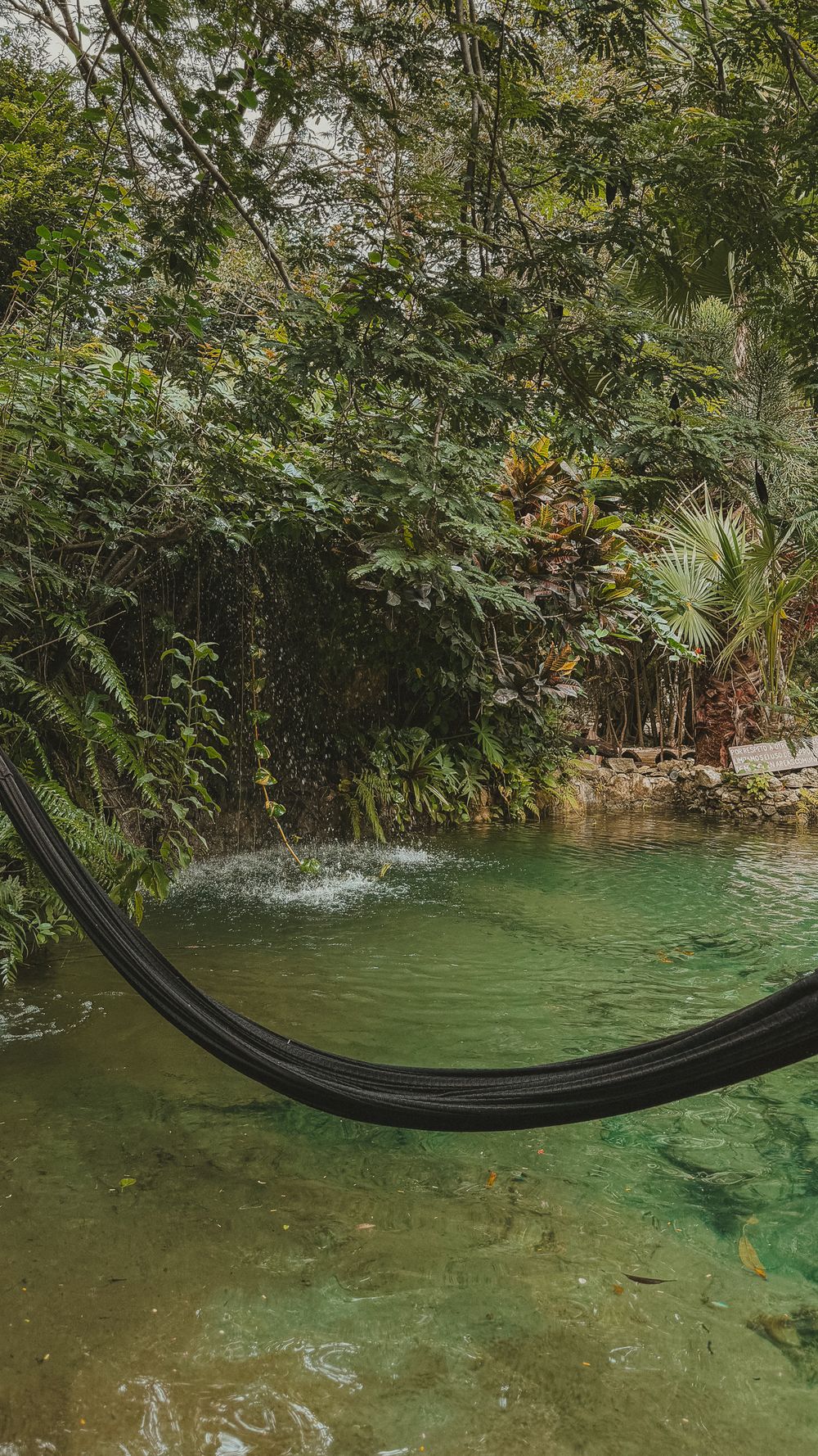 A curved black hammock hangs over a clear turquoise natural pool surrounded by tropical greenery.