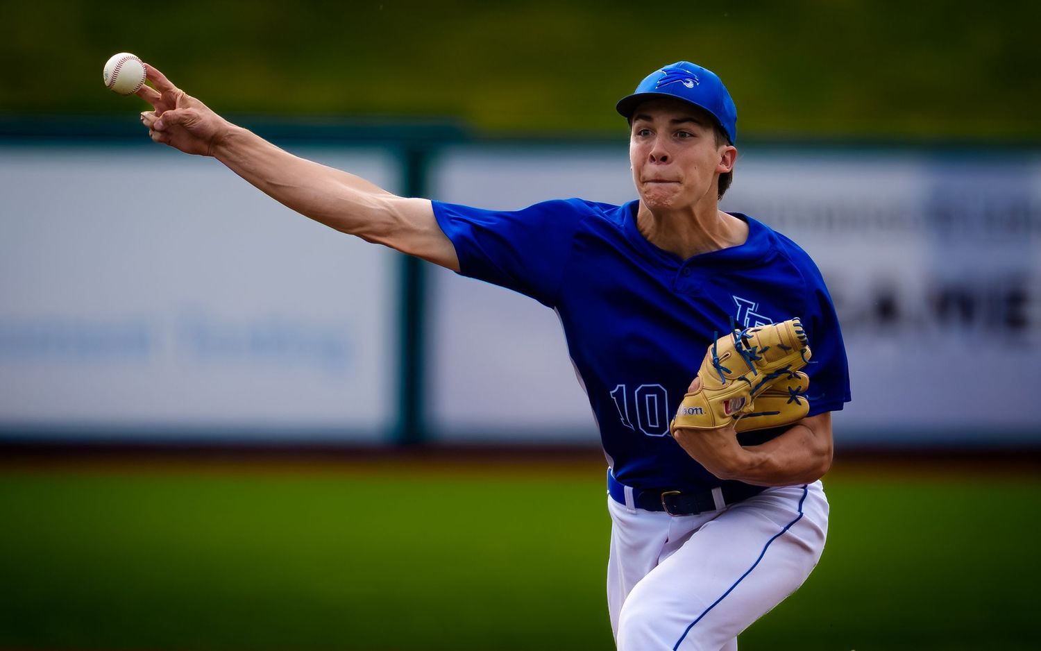 Lower Dauphin pitcher throwing at PIAA Class 5A District Baseball Championship, by Deanna Fox, SportsFox Photography, Hershey PA