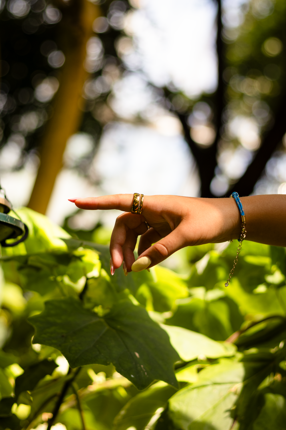 A woman's hand with gold rings and a blue bracelet pointing among lush green leaves in sunlight.
