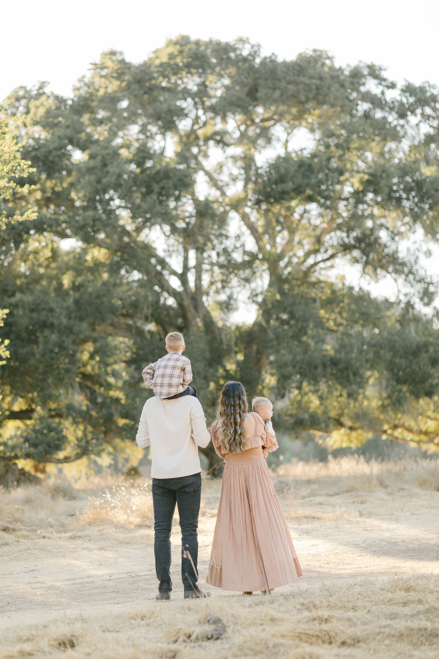 Family of four walking toward a large oak tree in a golden field, parents holding children in warm neutral tones.