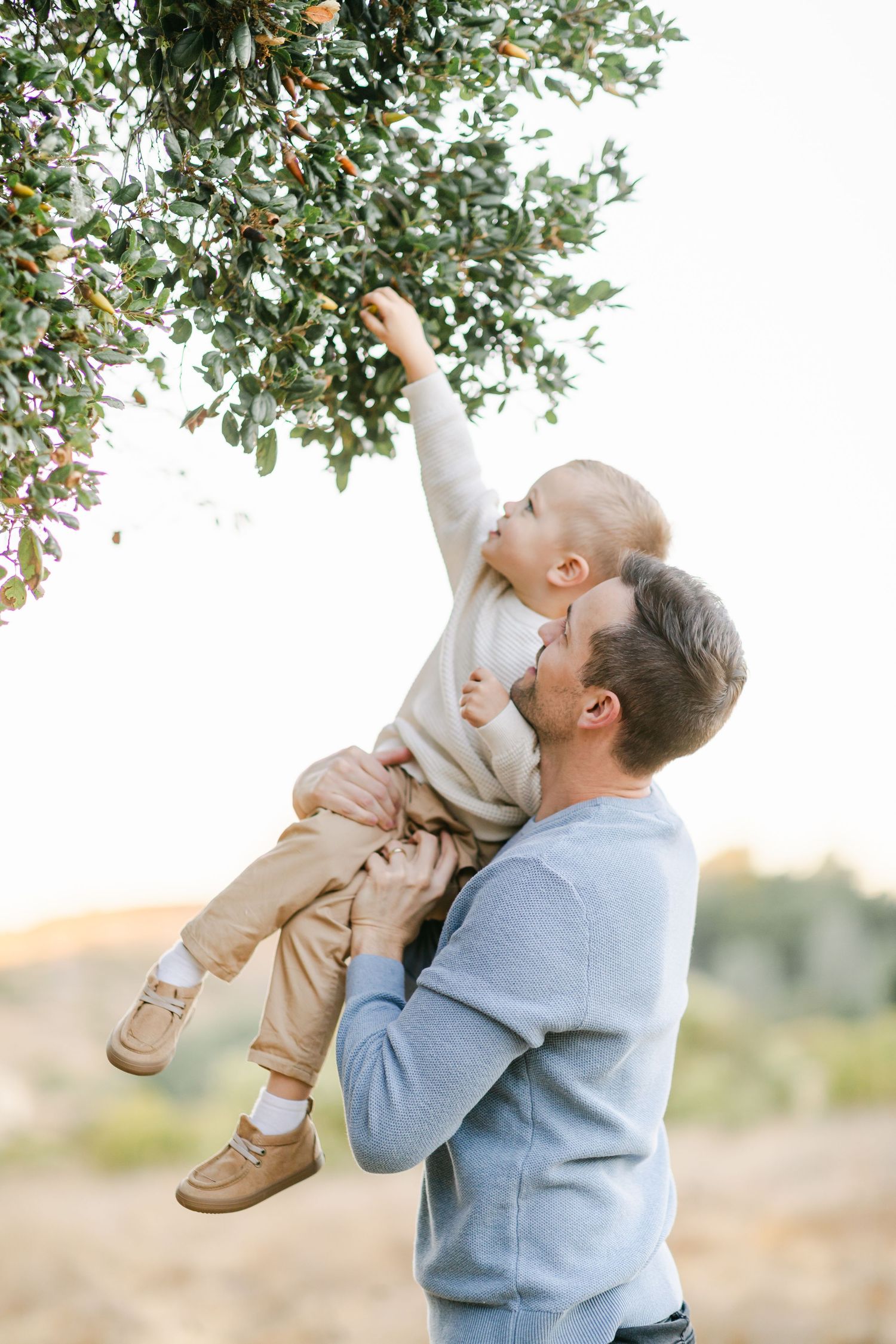 Father lifting toddler up to touch green tree leaves outdoors in warm natural light.