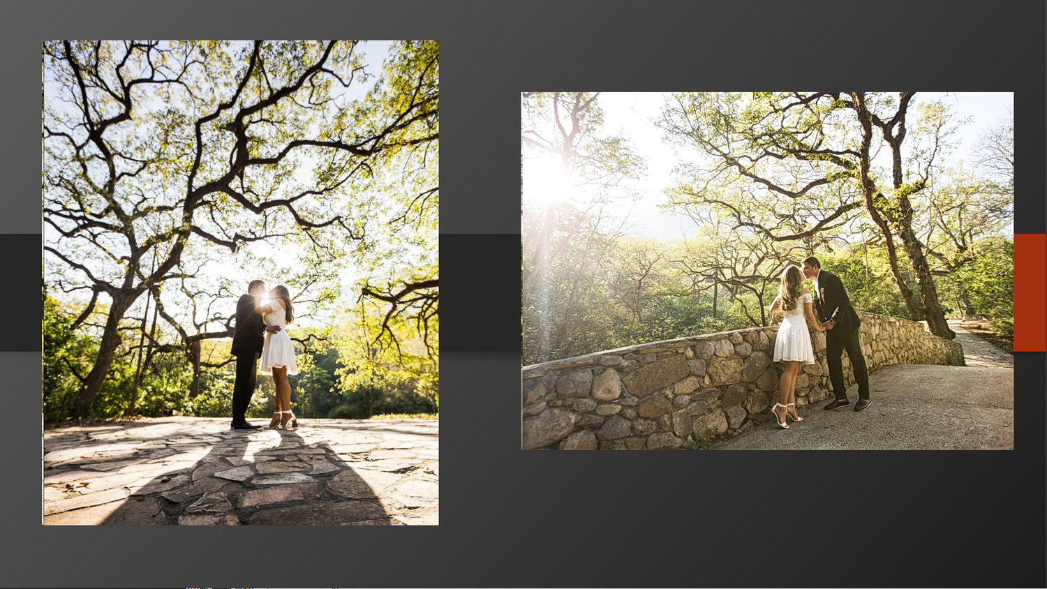 Couple sharing a romantic kiss under sprawling tree branches in a lush outdoor setting during their engagement photo session.