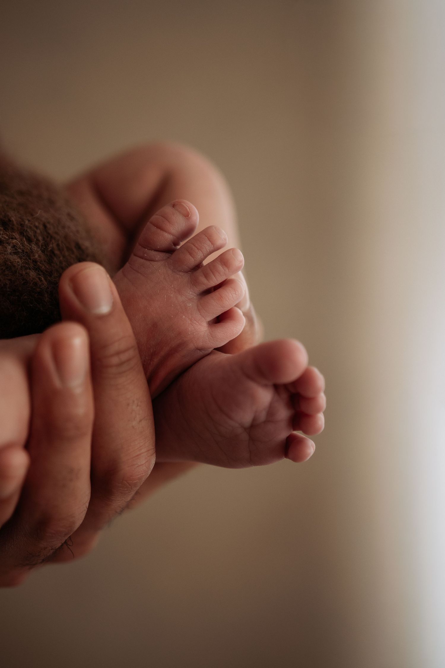 Newborn feet resting in Penrith newborn studio
