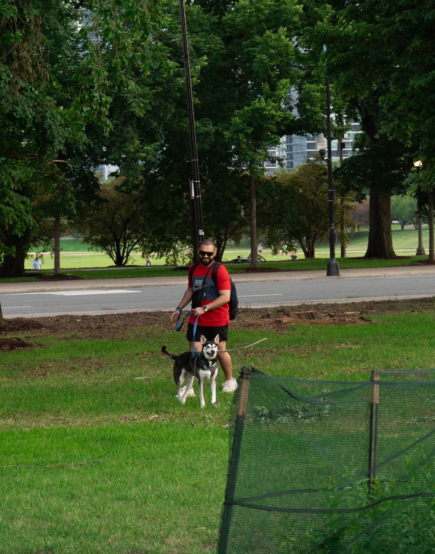 A man in a red shirt walks a Husky dog on a leash through a green park with trees and a road in the background.