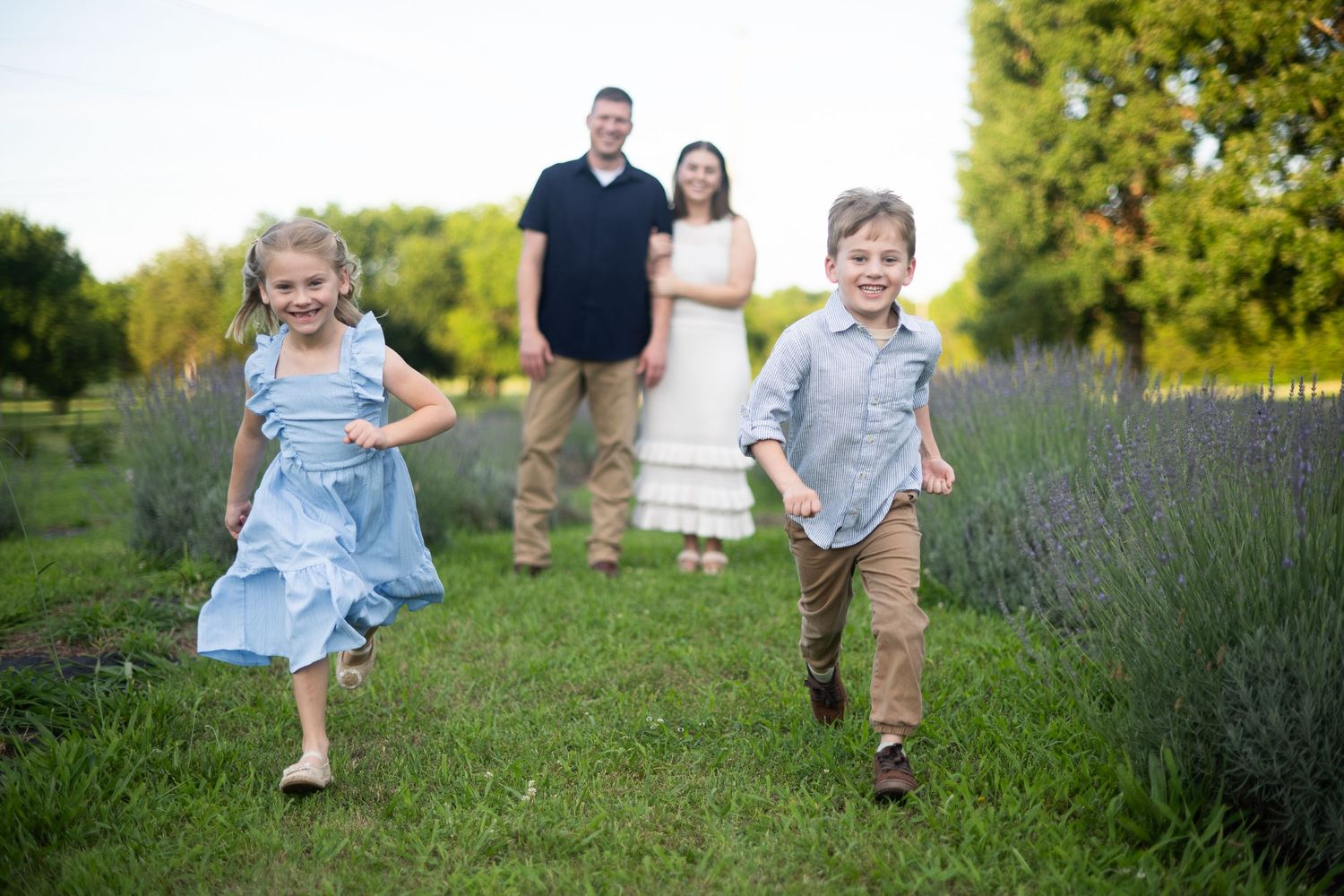 Family of four posing in lavender field, two young children running toward camera while parents stand smiling in background.