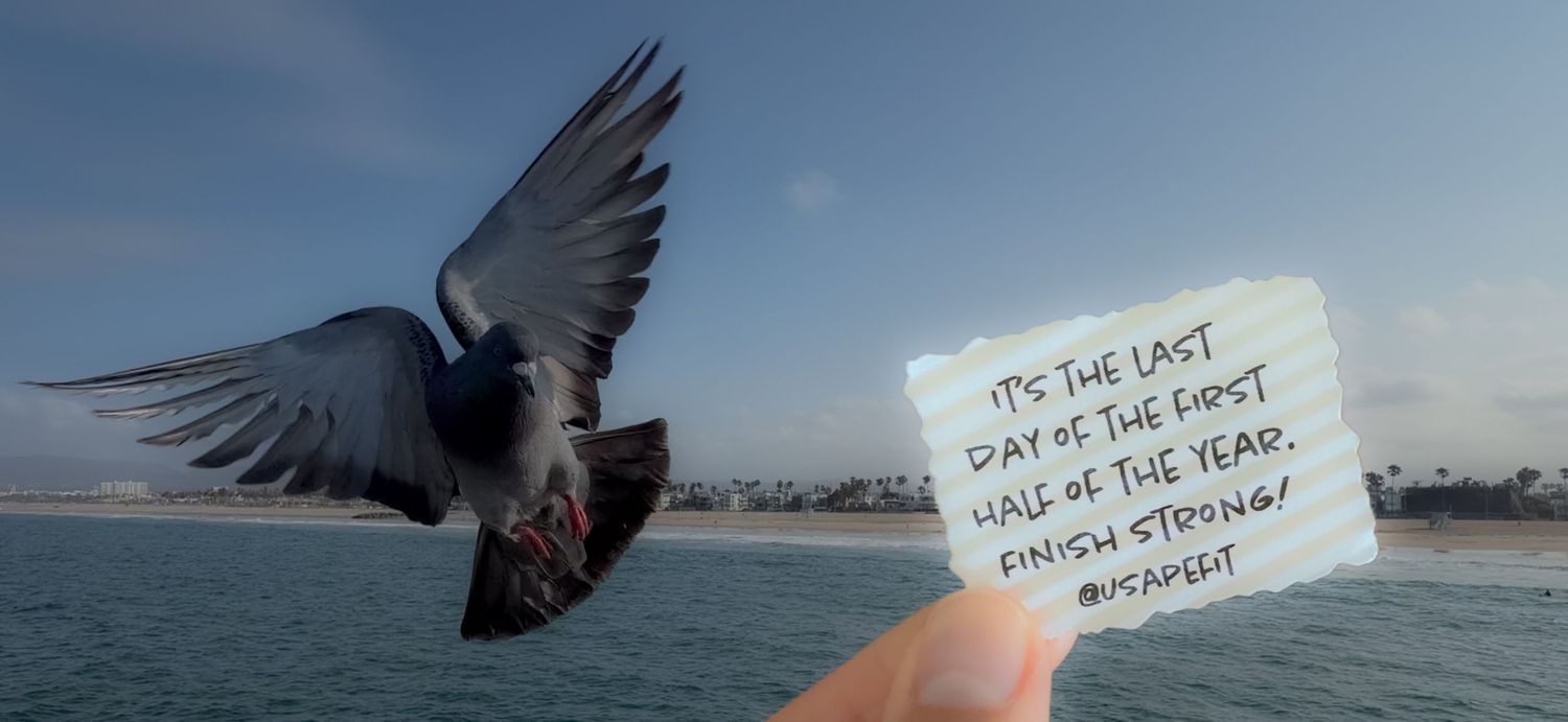 A pigeon flies near a hand holding a motivational note reading finish strong against a sunny coastal backdrop.