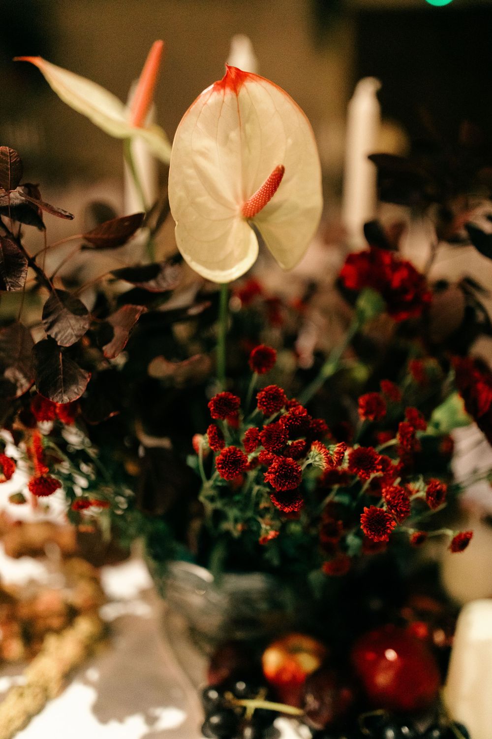 White anthurium flower with red spadix surrounded by dark foliage and deep red blooms in an elegant floral arrangement.