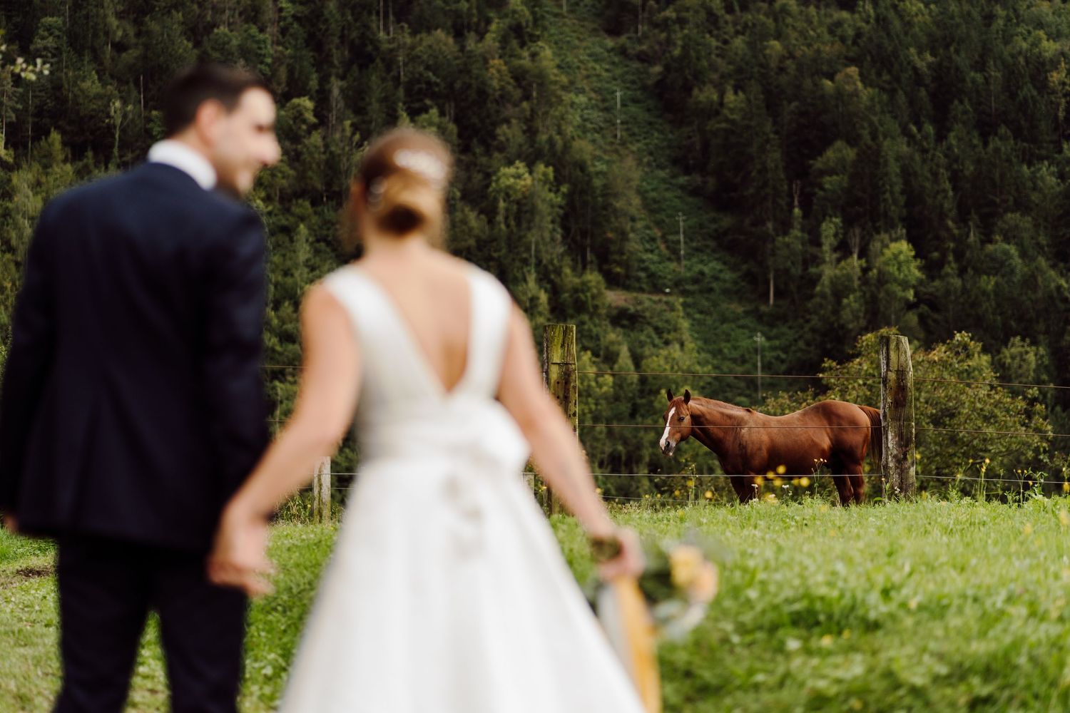 Bride and groom hold hands facing a brown horse grazing in a lush green meadow with forest backdrop.