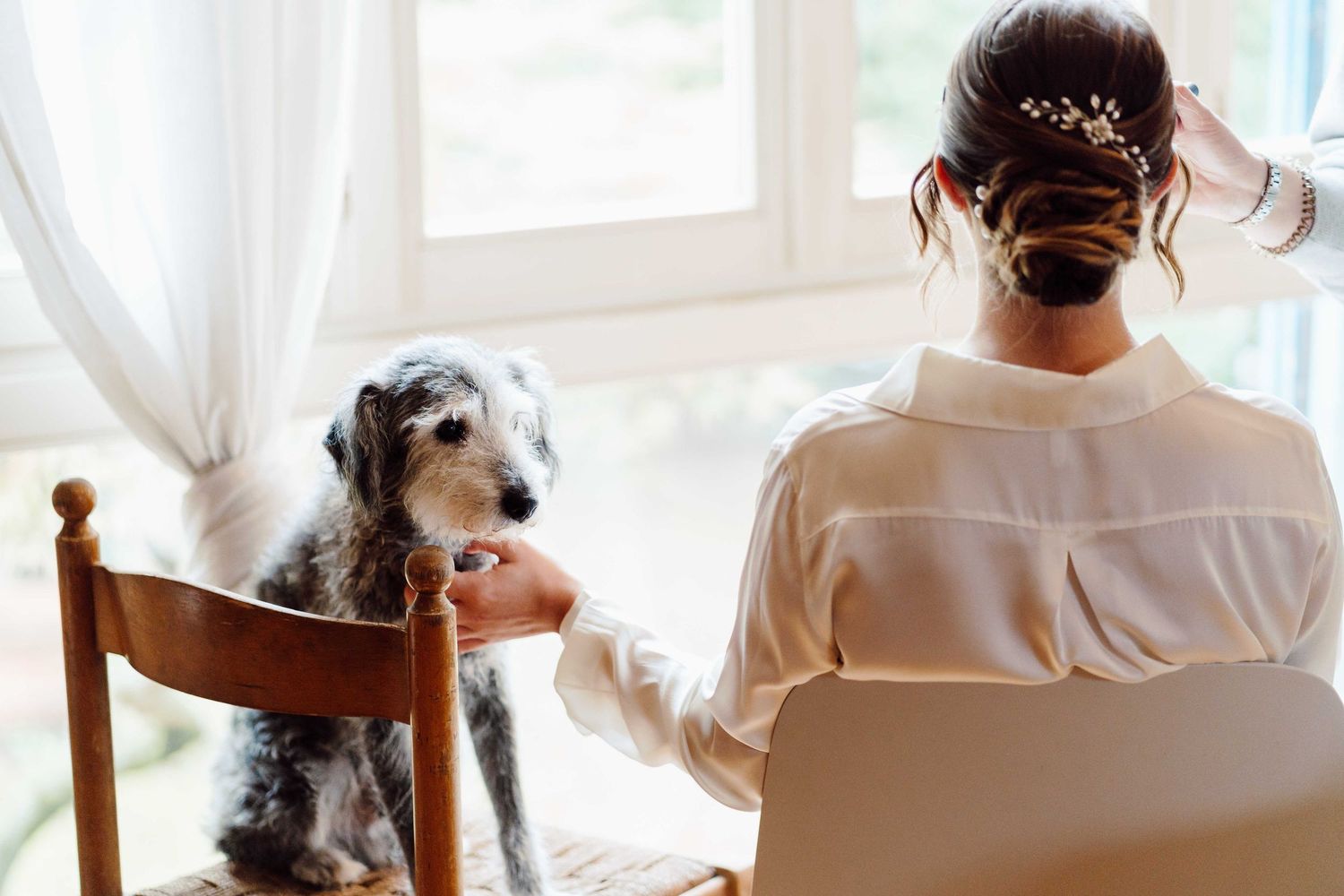 Bride with elegant updo hairstyle sitting near window, gently holding paw of fluffy gray dog seated on wooden chair.