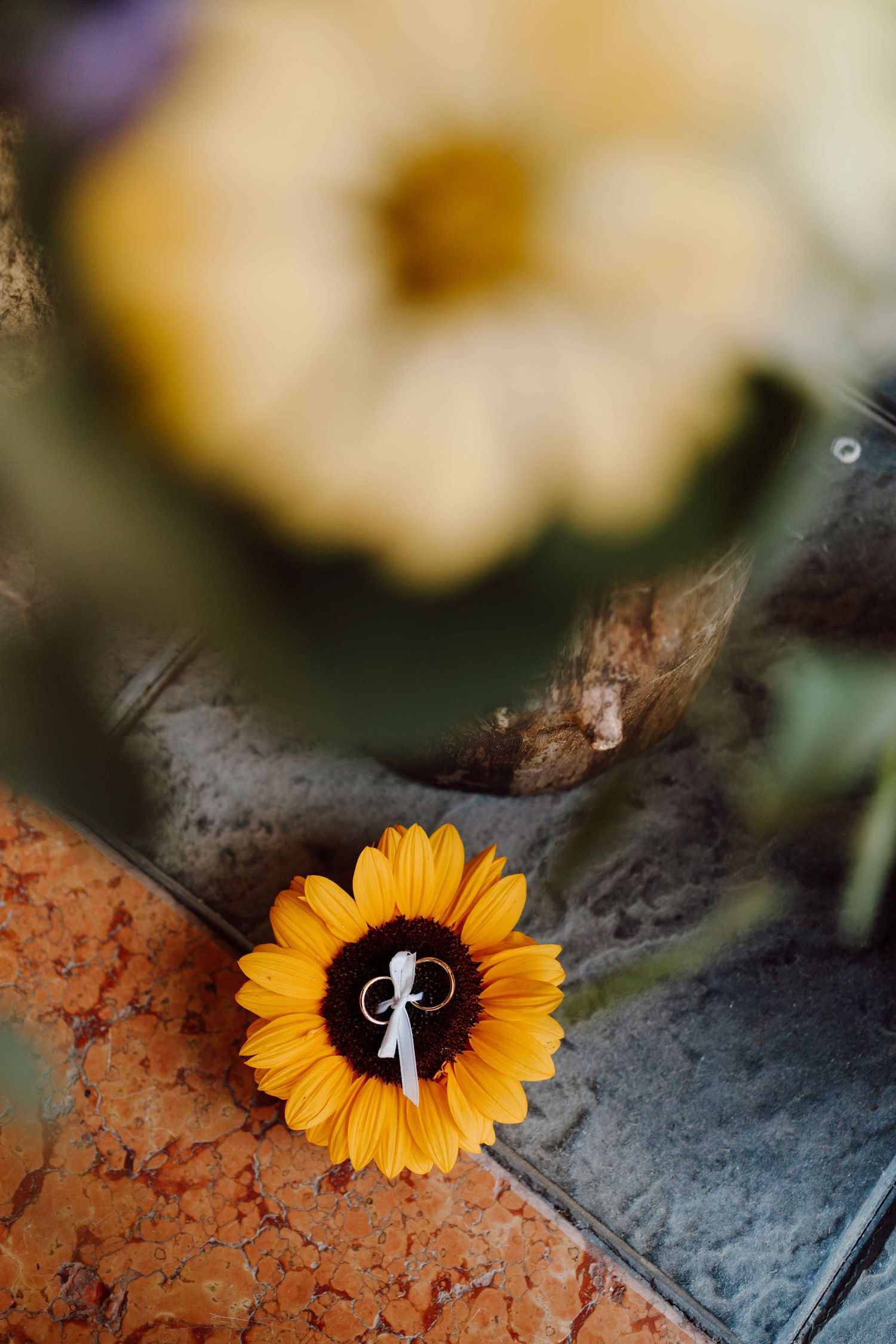 Wedding rings tied with white ribbon displayed on a vibrant yellow sunflower.