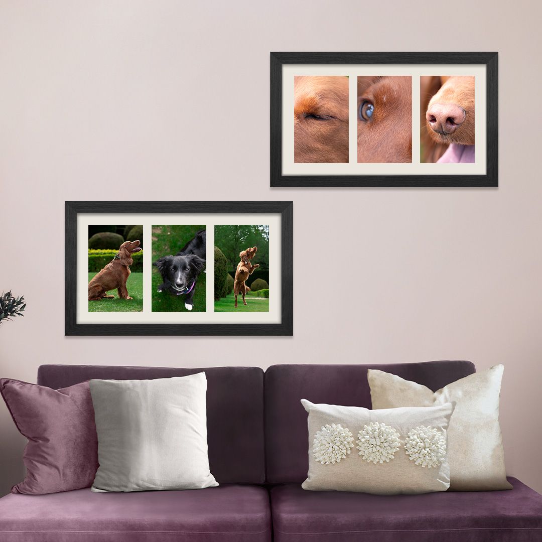 Two black-framed dog photo collages hang above a purple sofa with cushions, showing playful dogs and close-up nose, eye and ear shots.