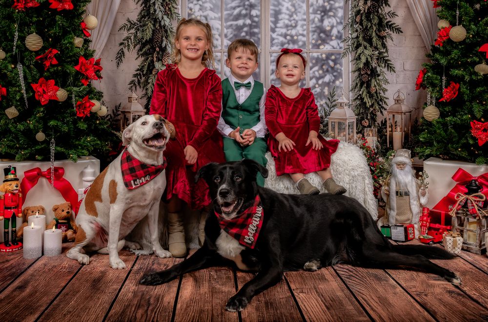 Three children in festive red and green holiday outfits pose with two dogs in plaid bandanas in a Christmas studio with decorated trees.