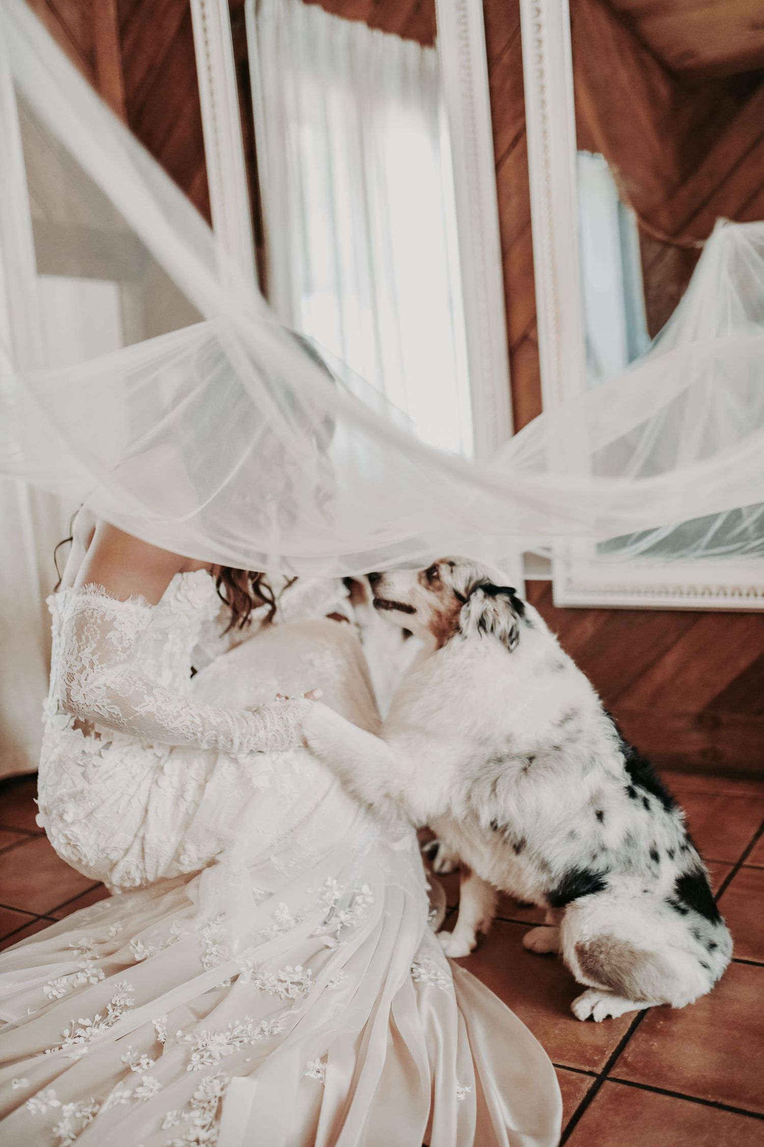 Bride playing with her puppies underneath her wedding veil