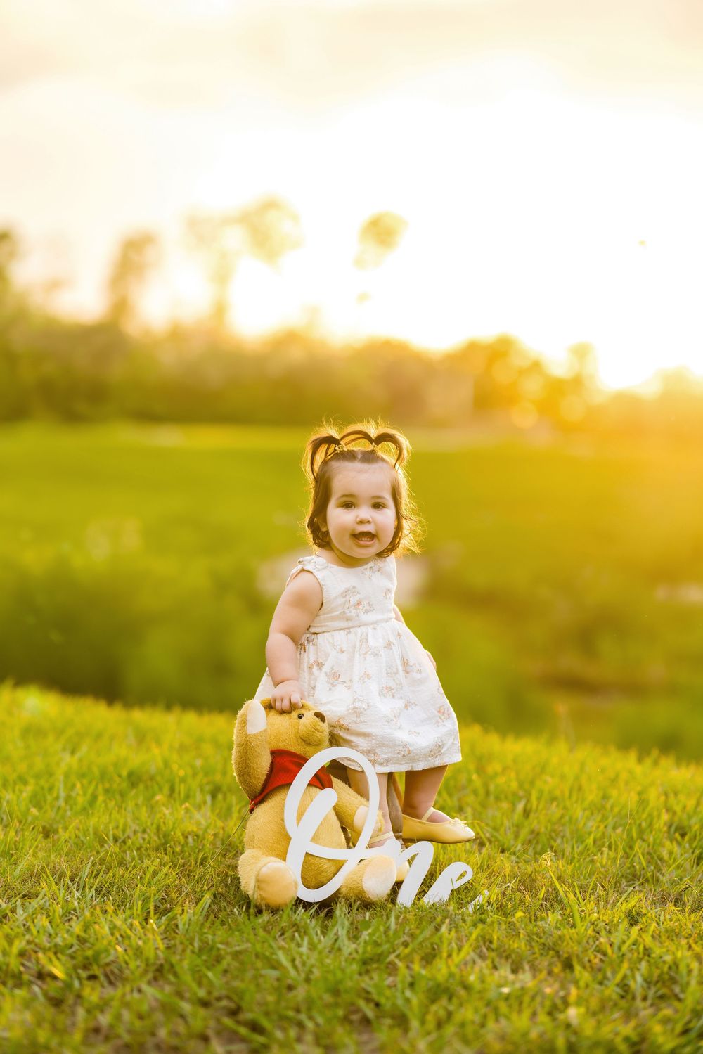 A baby girl in a white dress sits on grass at golden hour with a Winnie the Pooh toy and an 'One' sign.