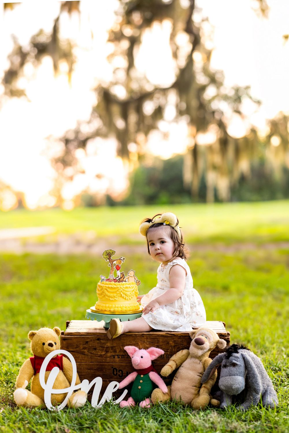 Baby girl in white dress sits on wooden crate with Winnie the Pooh stuffed animals and yellow smash cake for first birthday.