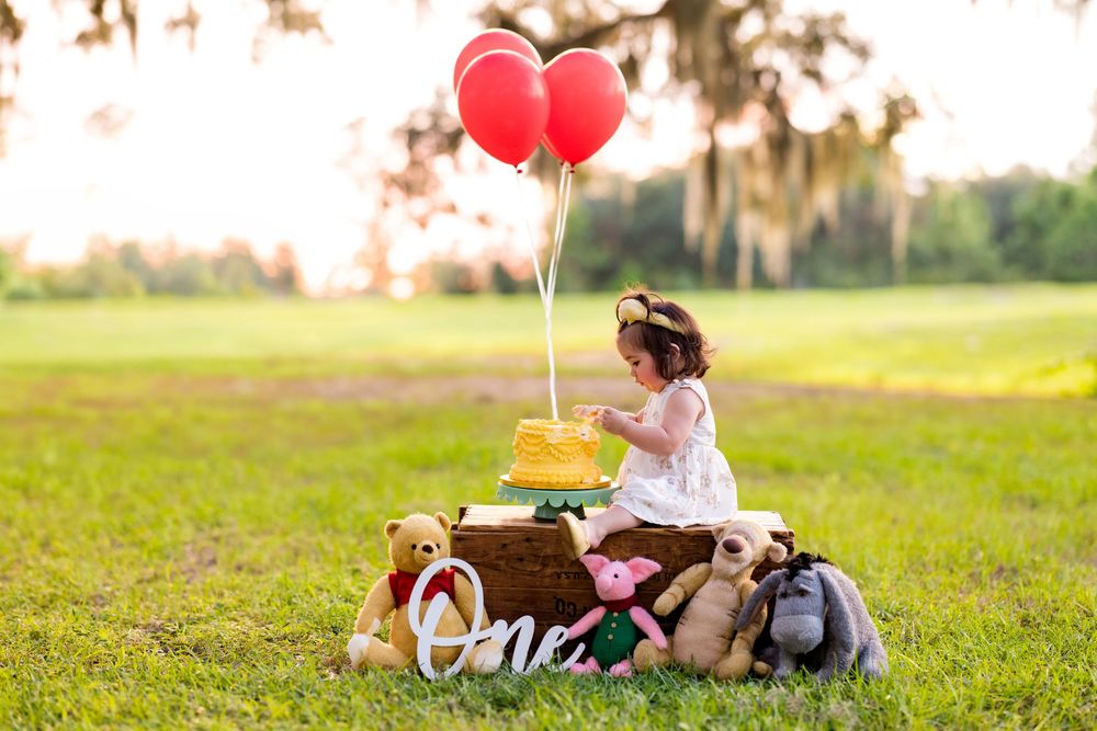 Toddler girl celebrates first birthday outdoors with red balloons, yellow cake, and stuffed animals on a grassy field.