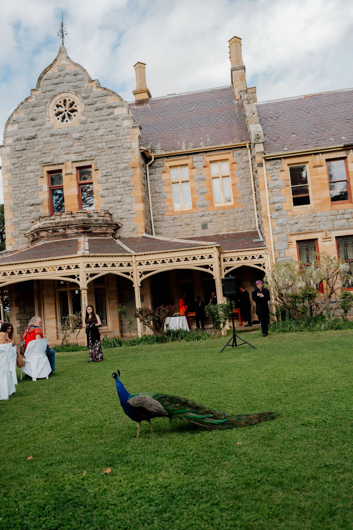A peacock roams the green lawn in front of a historic stone mansion during an outdoor wedding reception.