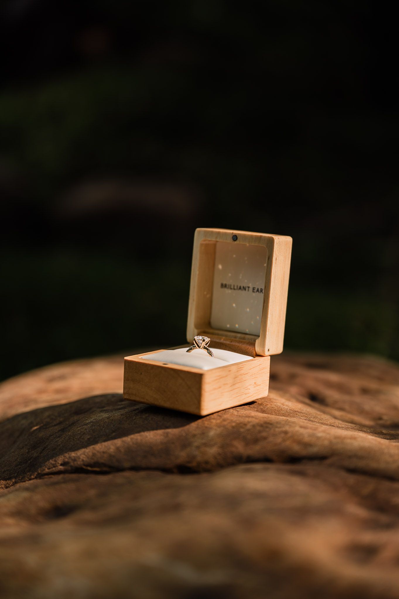 Fort Worth and DFW wedding, engagement, proposal, senior, and graduation photography by Alexandra Hartman Photography, capturing romantic an