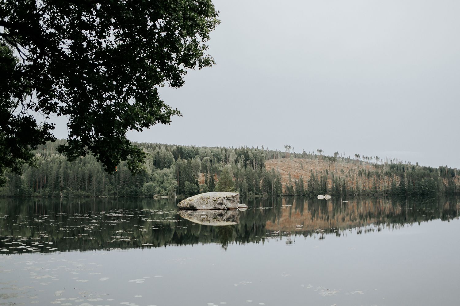 Linn och Christians bröllop på Hennickehammar herrgård utanför Filipstad. Bröllopsfotograf Rebecca Nordin. Karlstad.