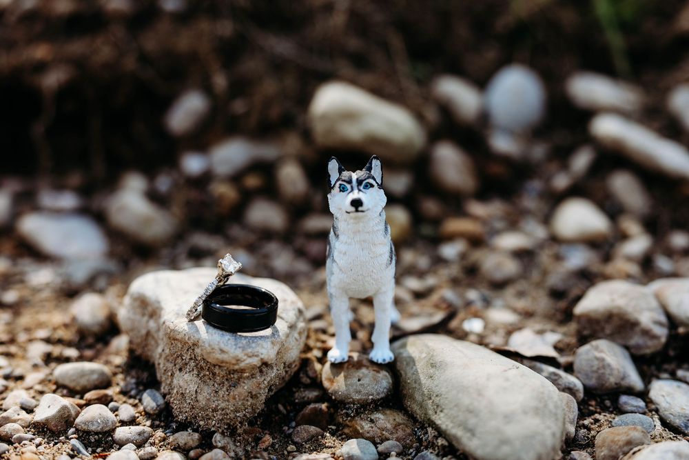 Small husky dog figurine standing on pebbles beside a tiny ring holder made from a natural material.