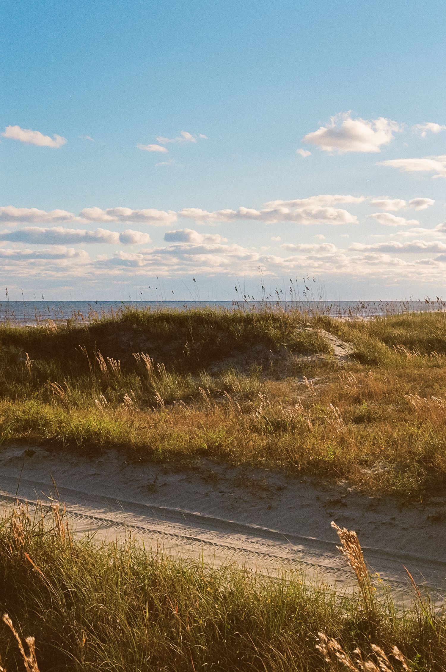 A serene coastal landscape with sand dunes and sea grass against a blue sky with scattered clouds at sunset.