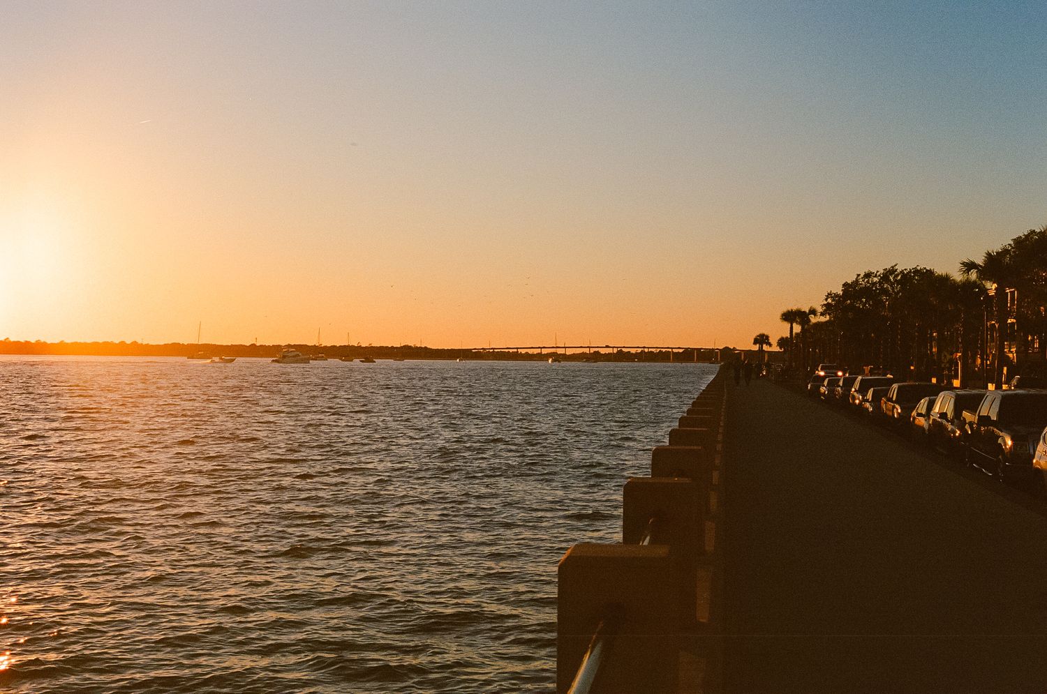 Panoramic view of a serene ocean landscape at sunset with silhouetted trees along the coastline.