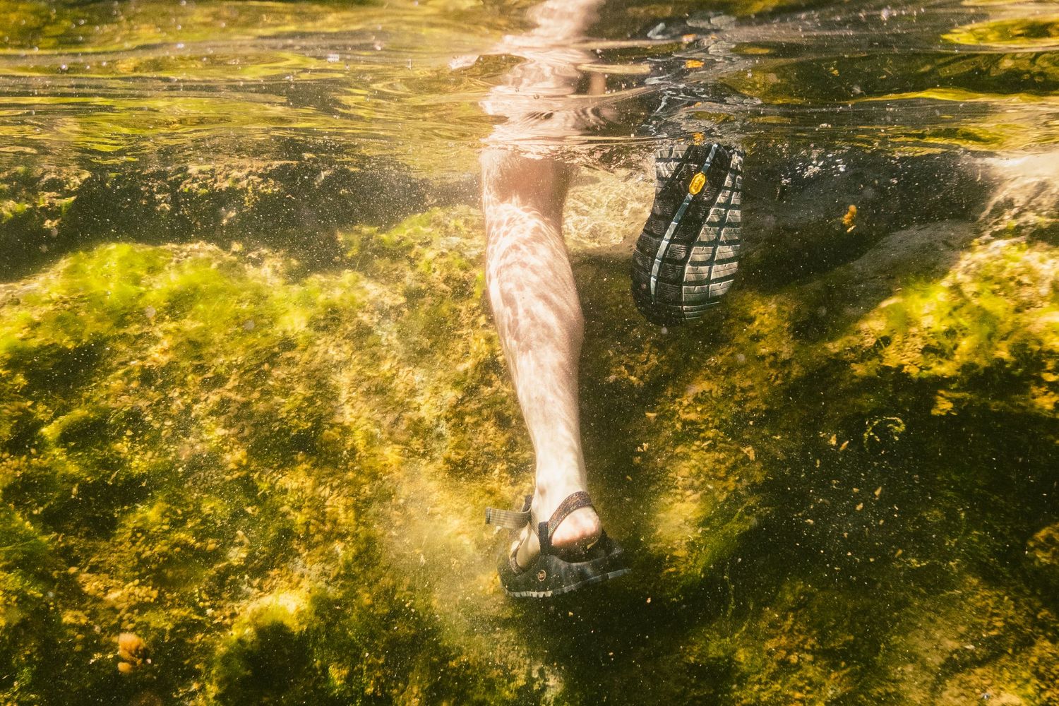 Underwater view of mossy rocks and vegetation in golden sunlit water.