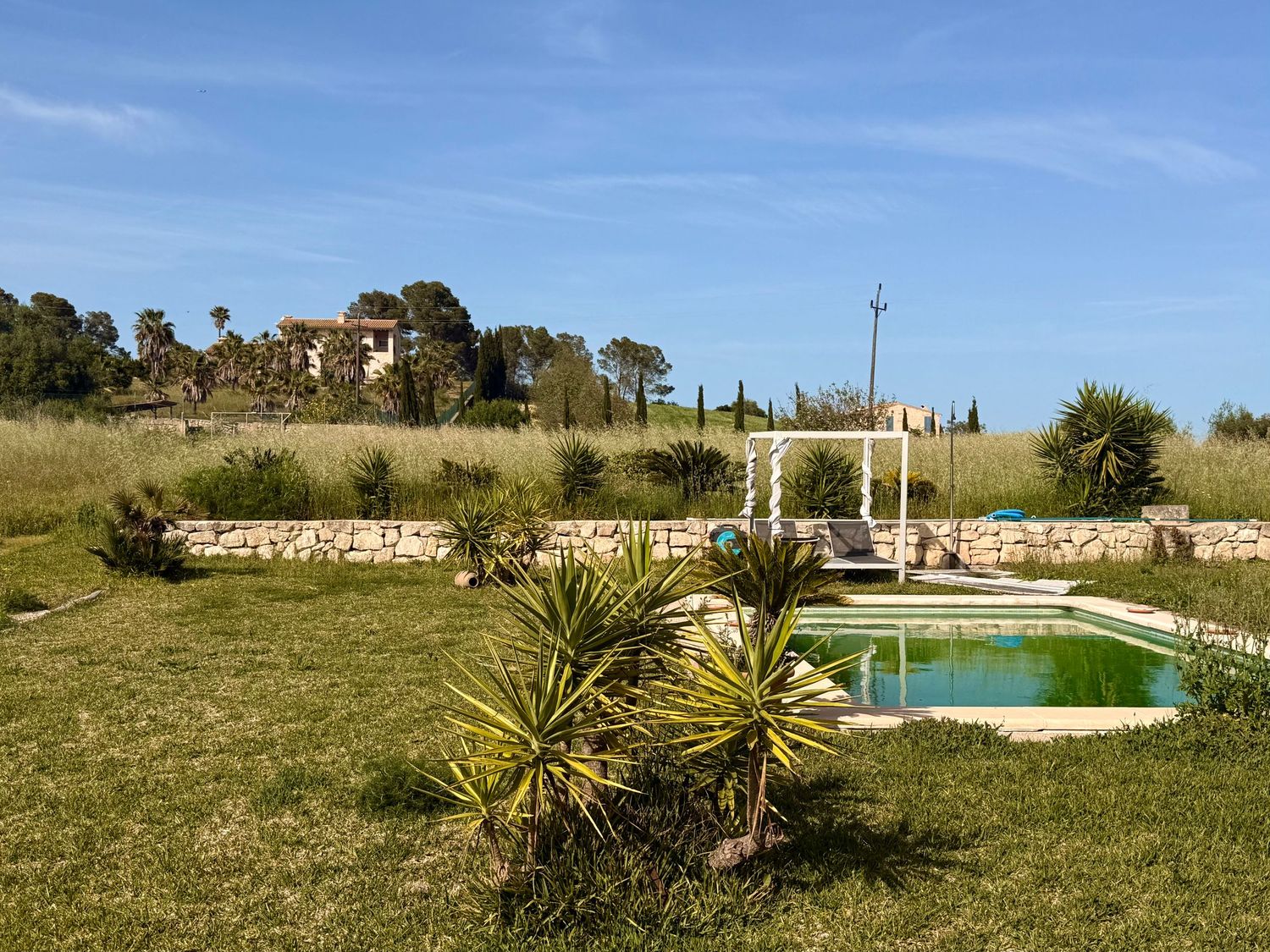 Rustic countryside estate with lush green lawn, natural stone pool, tropical plants, and a historic villa surrounded by palm trees.