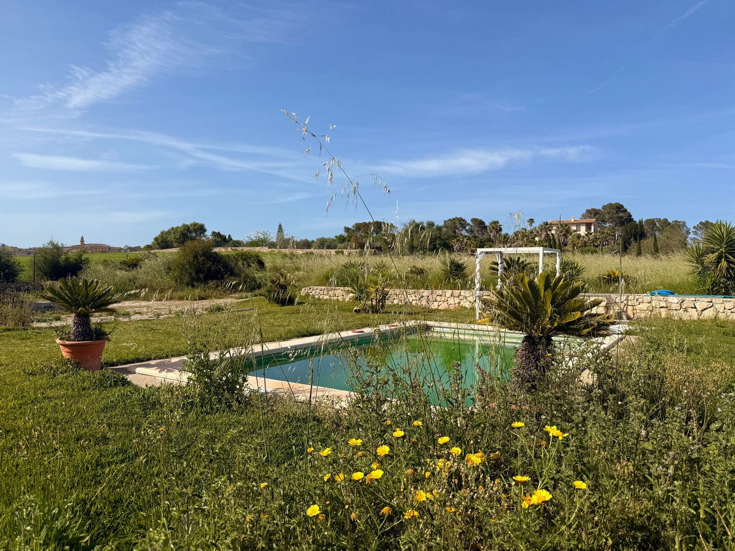 A serene rural property with a natural swimming pool surrounded by lush greenery, stone walls, and yellow wildflowers under a blue sky.