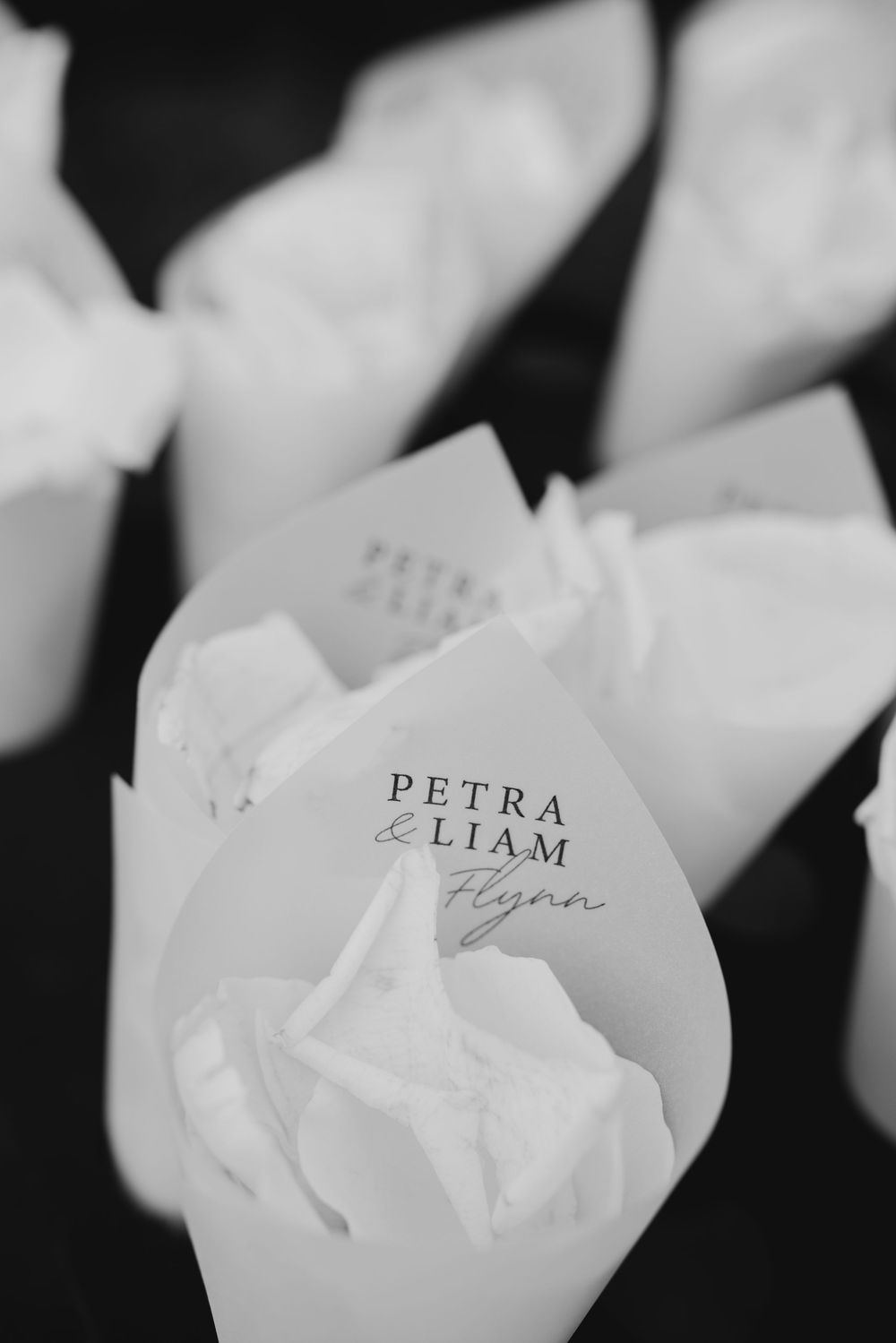 Elegant black and white wedding petal cones printed with Petra and Liam Flynn for a romantic outdoor ceremony.