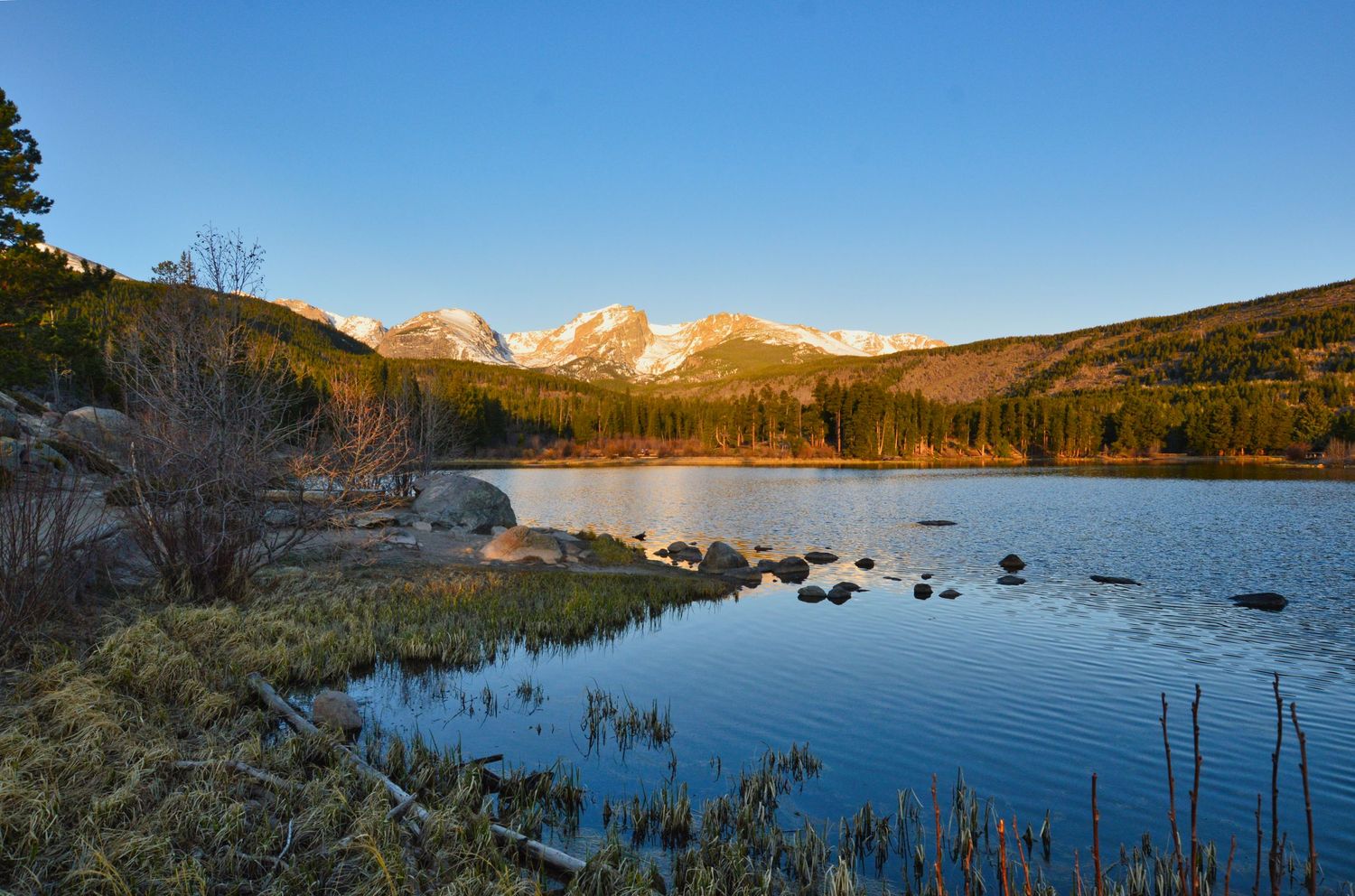 Sprague Lake proposal location in Rocky Mountain National Park. Sunrise with the alpenglow on the mountains.