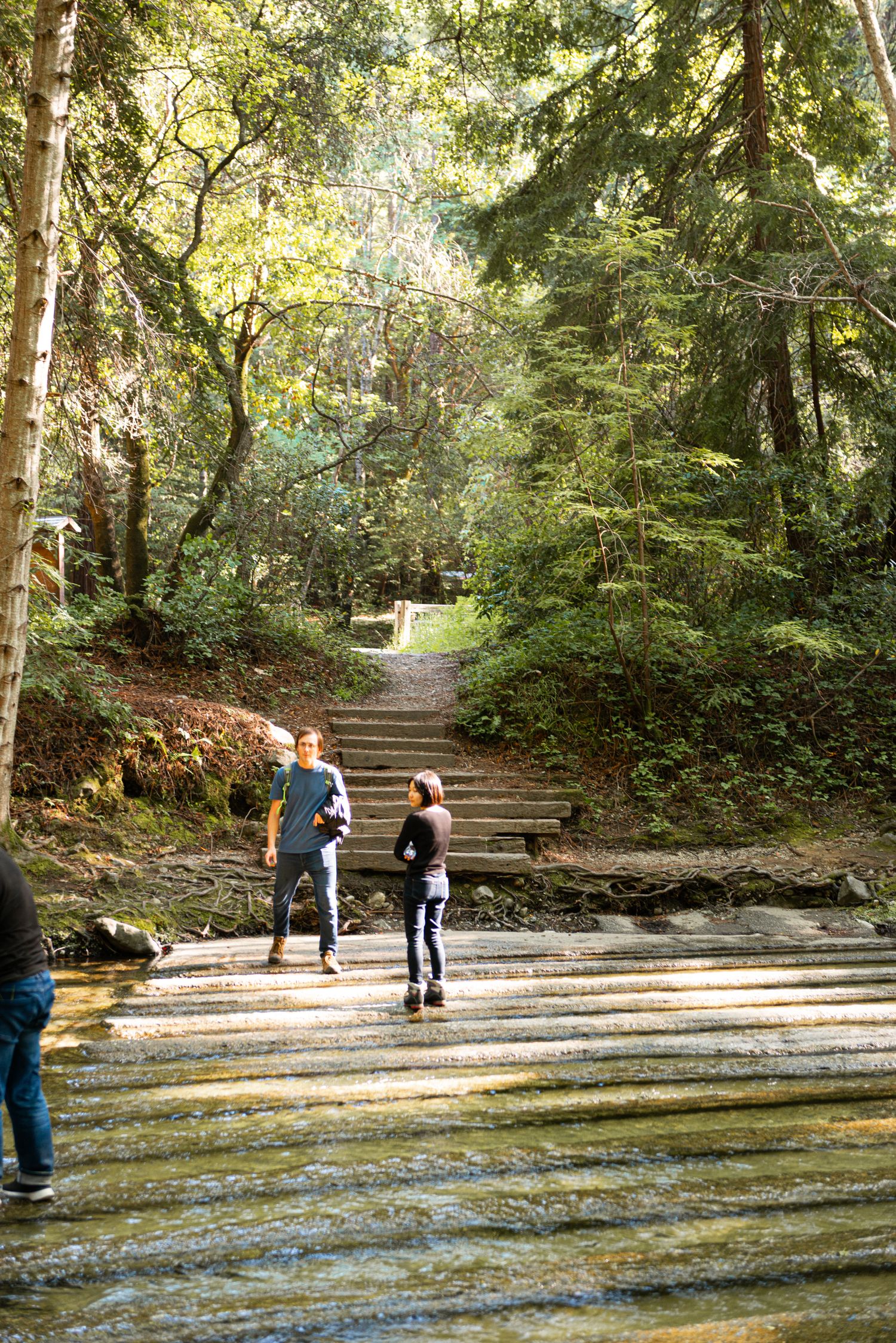 People crossing a shallow stream on flat rocks in a lush green forest with wooden steps leading uphill.
