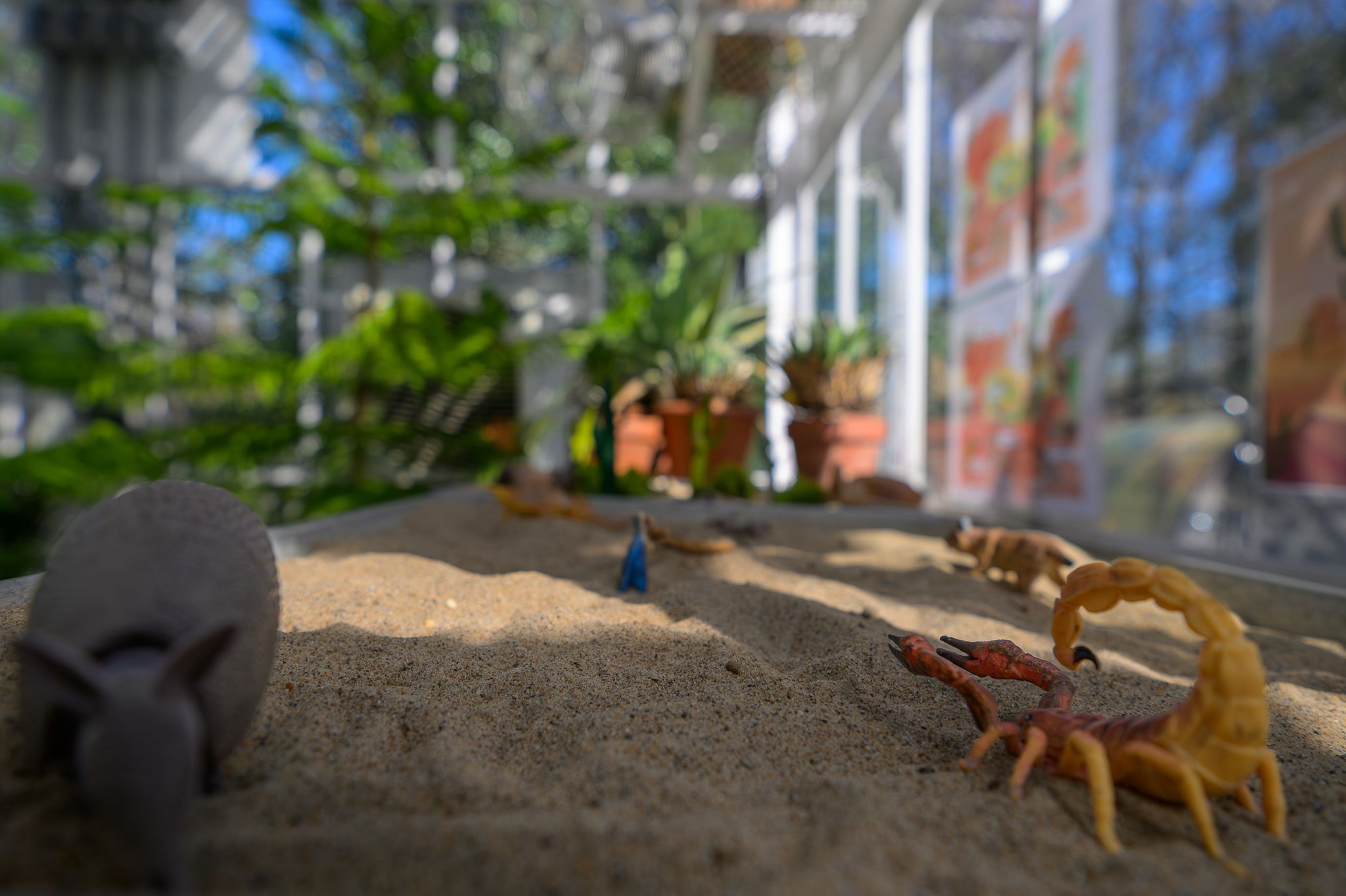 Toy scorpion and beetle figurines arranged in sand with lush greenhouse plants in the background.