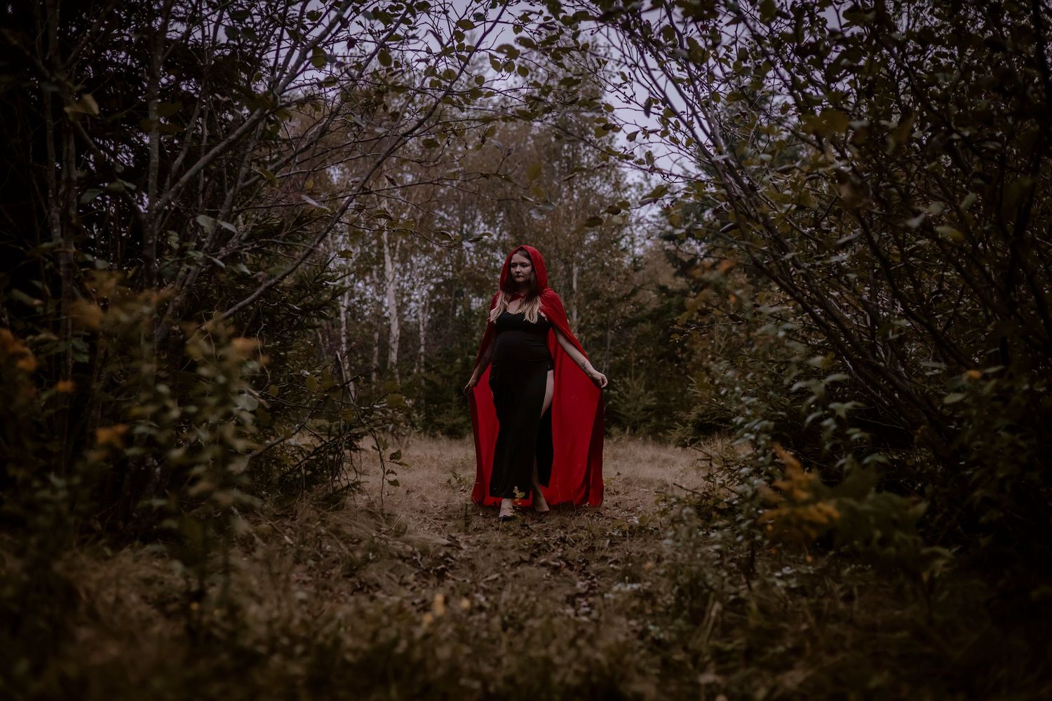 Moody forest landscape with crimson accents and dark tones creates an atmospheric autumn scene in nature.