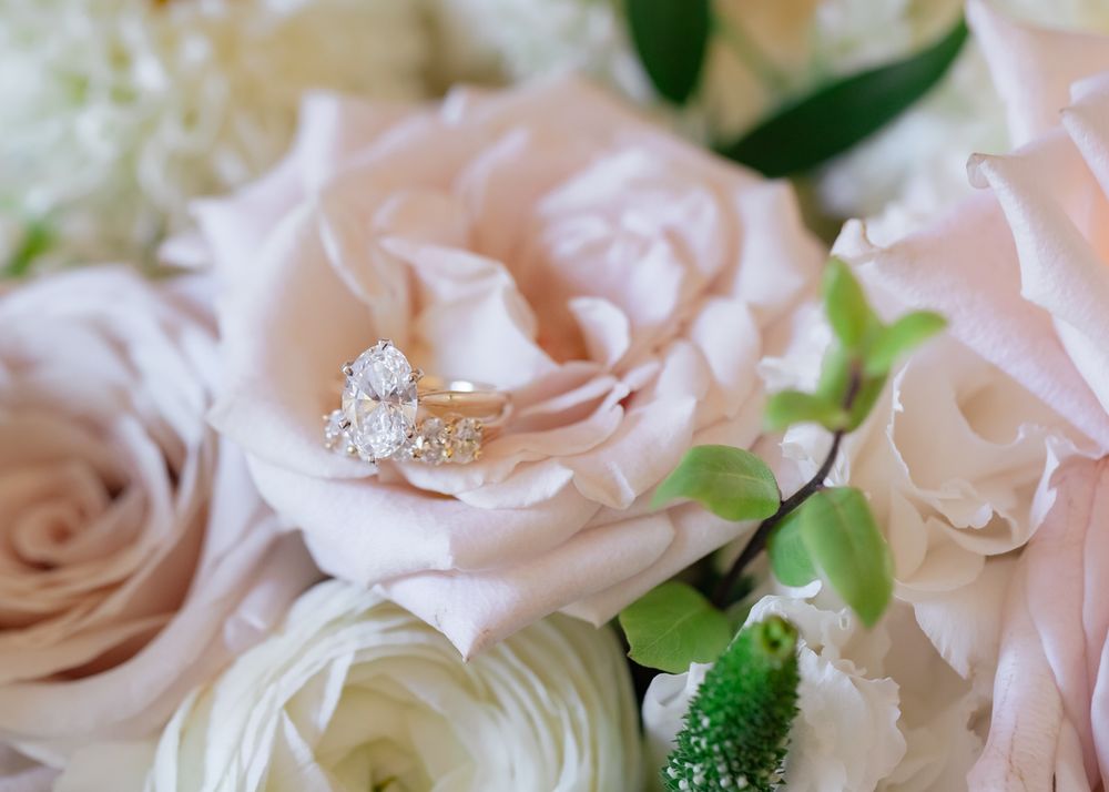 Delicate engagement ring nestled among soft pink and white roses with green foliage.