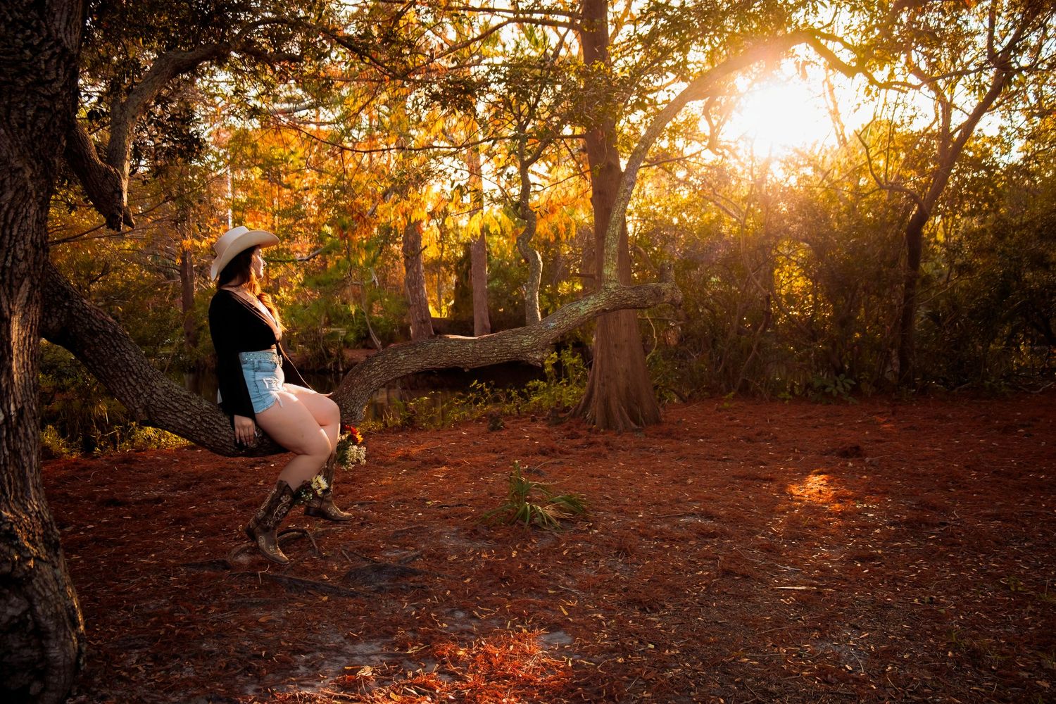 Silhouette of a person sitting on a log in a forest bathed in warm sunset light.