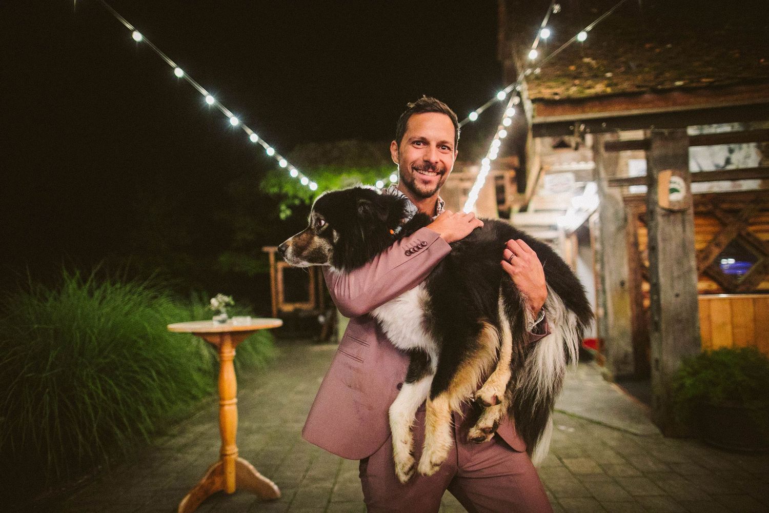 A person wearing a pink shirt holds a black and white Border Collie dog at an outdoor venue with string lights above.