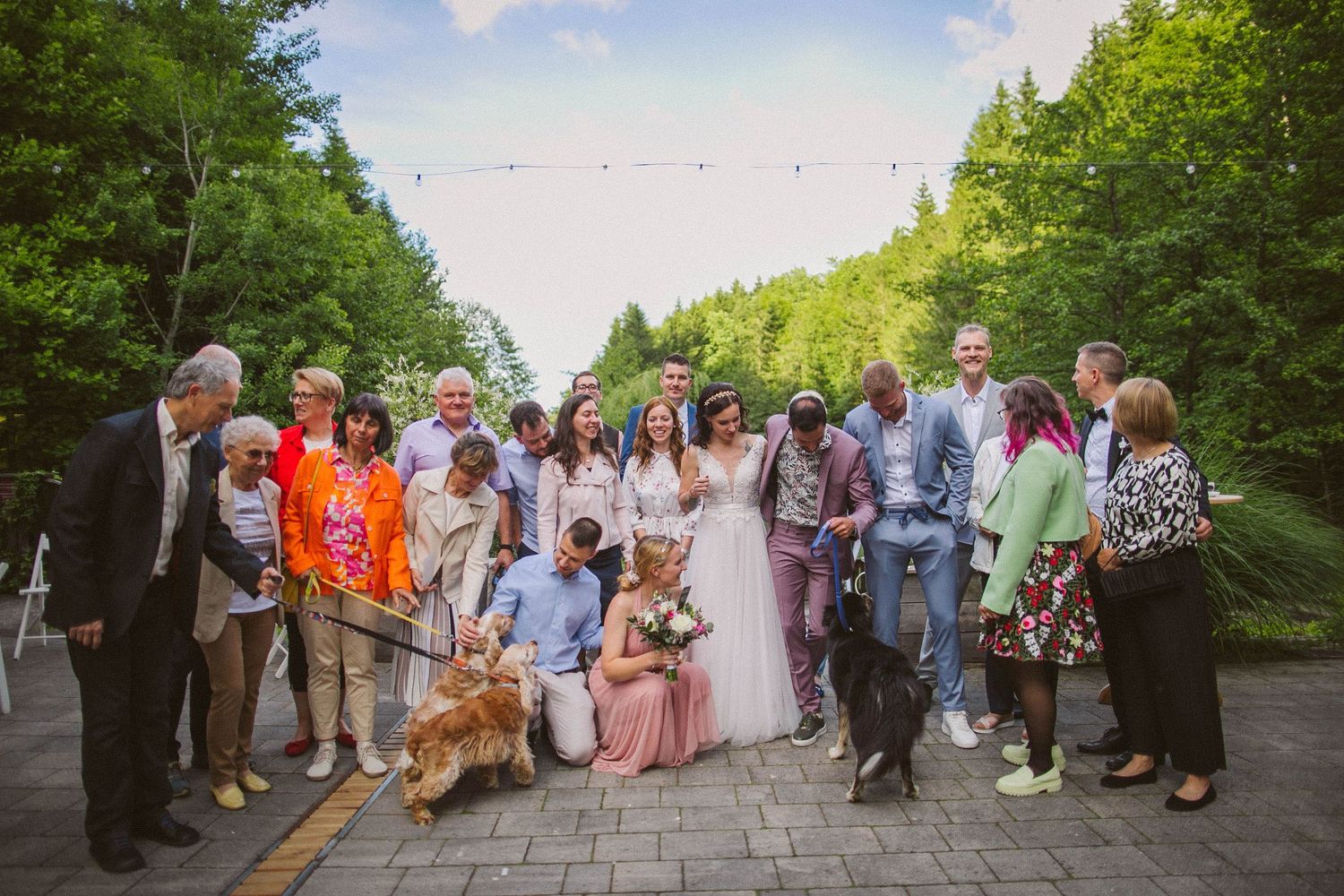 Large group wedding photo with guests and dogs on outdoor paved path.
