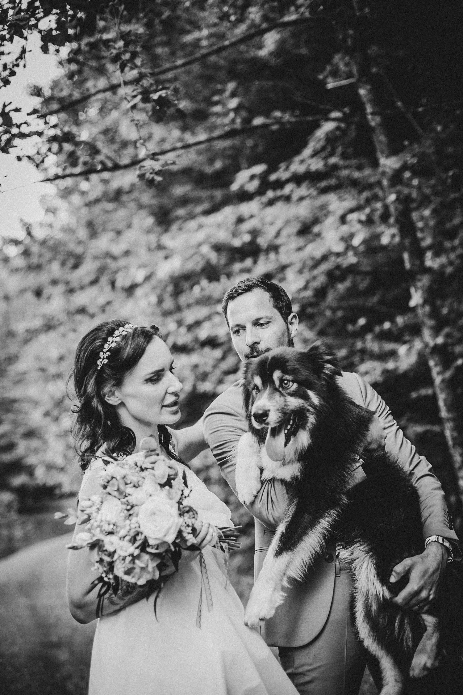 A couple in wedding attire poses outdoors with their dog in a black and white forest portrait.