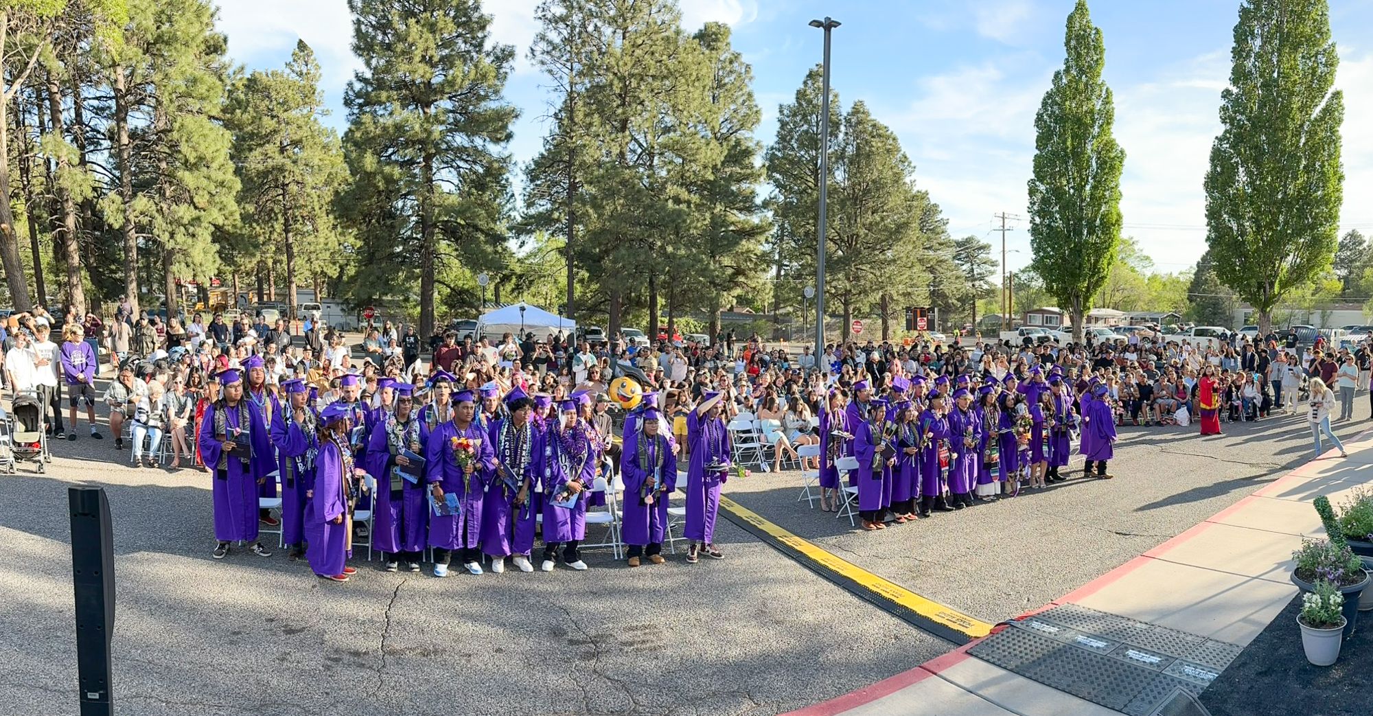 Graduates in purple robes gather outdoors during a commencement ceremony surrounded by tall pine trees and spectators.