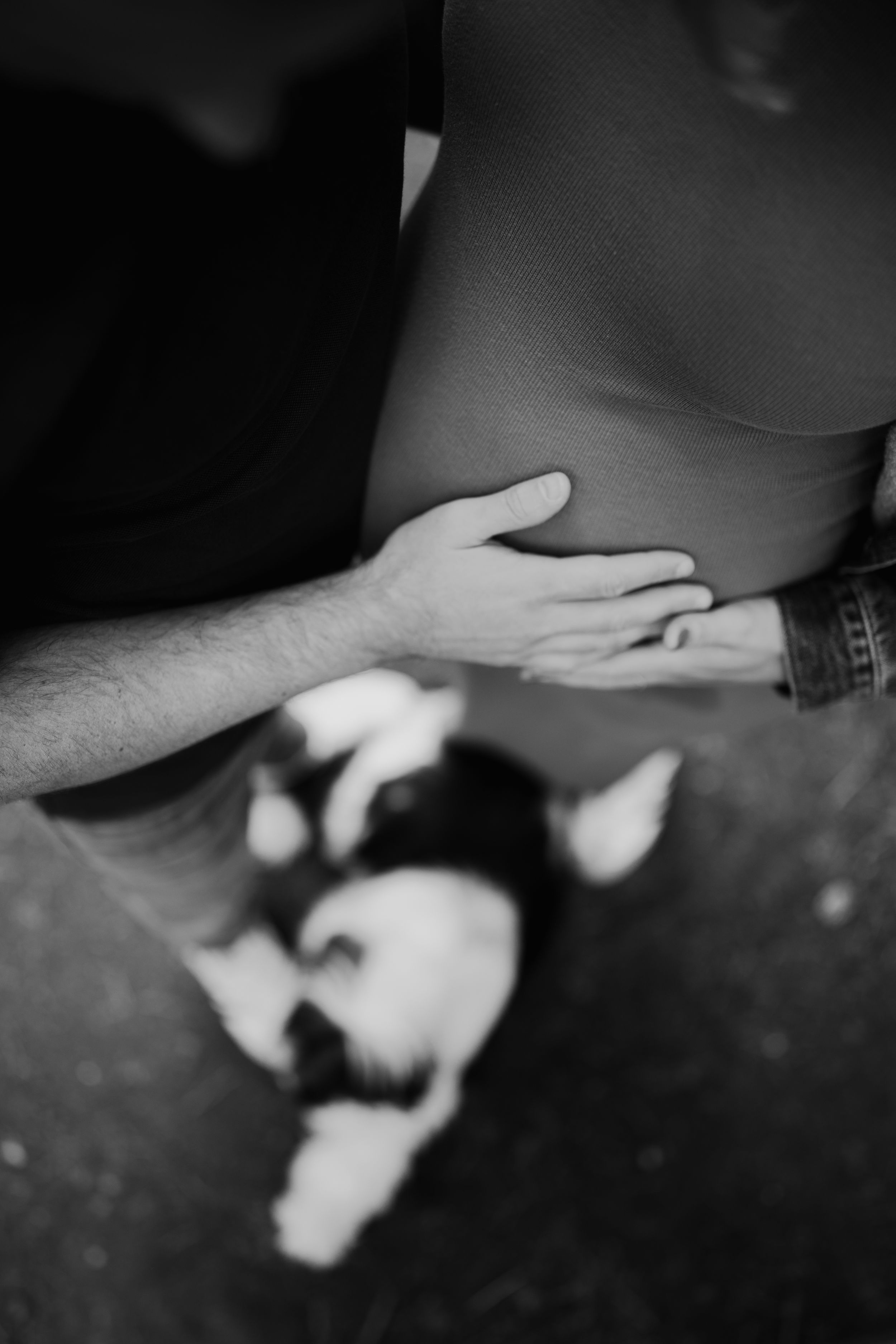 Black and white photograph of human hands reaching down near a sleeping black and white cat on the ground.